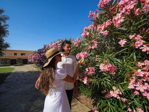 Le Tonnare di Stintino - Beach Resort, Room