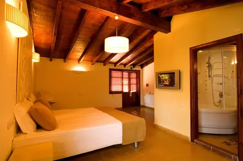 Alp Pasa Hotel - Special Class, Room