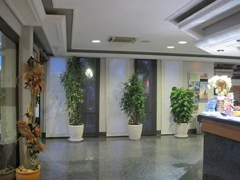Nereida Aparthotel, Reception