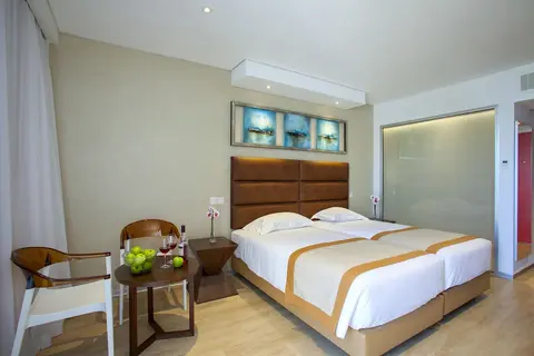 Faros Hotel Ayia Napa, Room