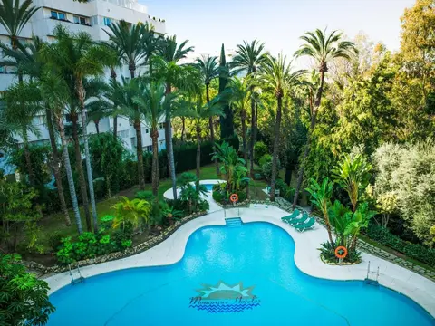 Aparthotel Monarque Sultán, Pool