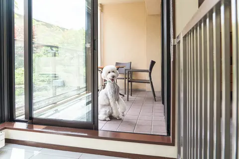 Hyatt Regency Hakone Resort and Spa, Room