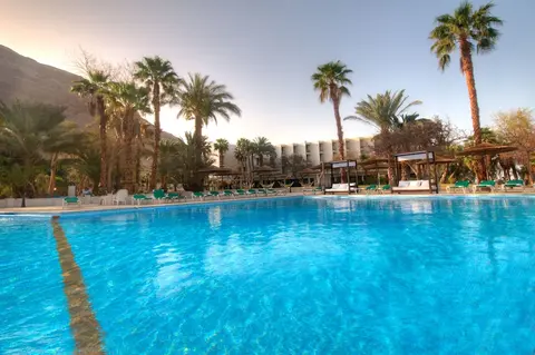 Leonardo Inn Hotel Dead Sea, Pool