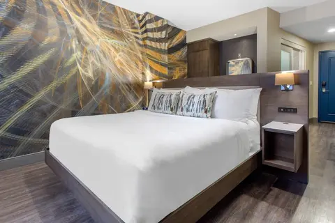 Cambria Hotel Downtown-Center City, Room