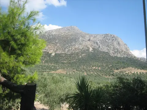 La Petite Planete, Property grounds