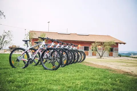 Agriturismo Panieracci, Bicycling