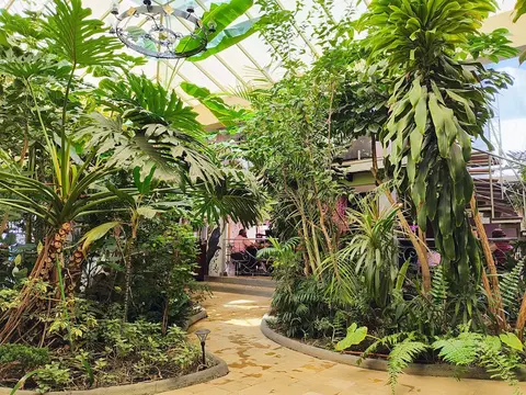 Hotel Jardines del Centro, Garden view