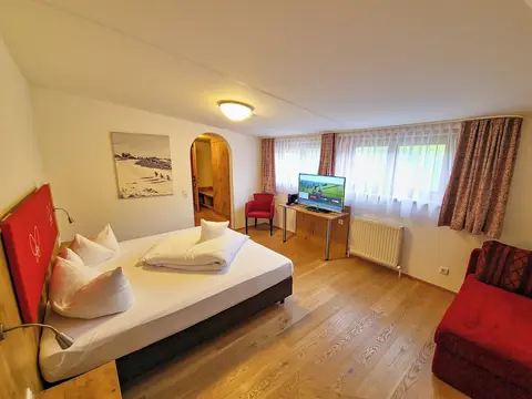 Garni Hotel Alpin Scheffau, Room