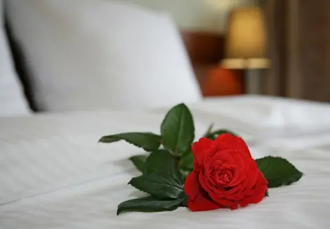 Aparthotel Globus, Room