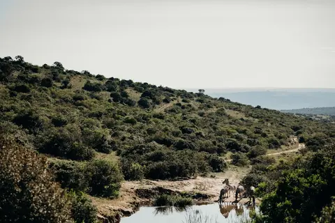 Bukela Game Lodge Amakhala Game Reserve, View from property
