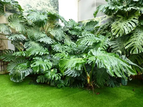 Hotel Capitole, Property grounds