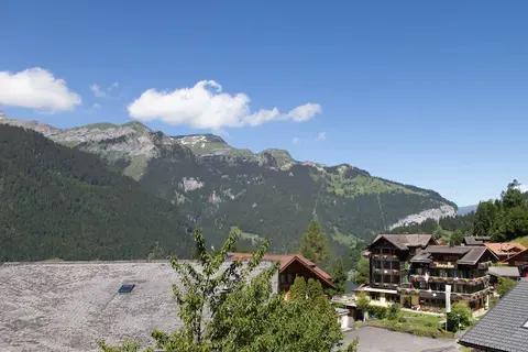 Hotel Edelweiss Wengen, View from room