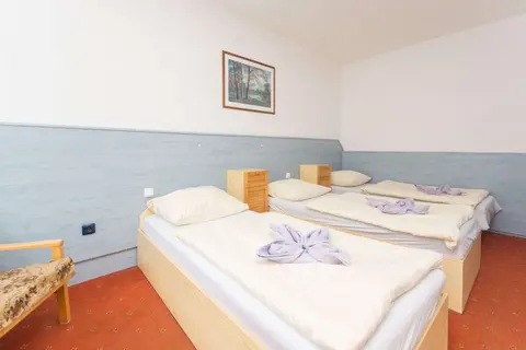 Sport Hotel Gejzírpark, Room