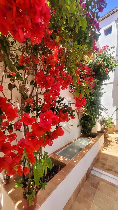 Albariza Hotel Boutique, Terrace/patio