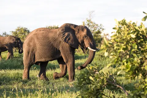 Southern Africa Highlights
