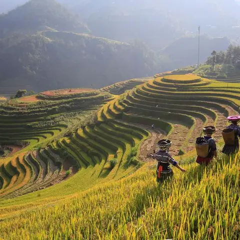 North & Central Vietnam: Hanoi, Hoi An & Countryside Adventures
