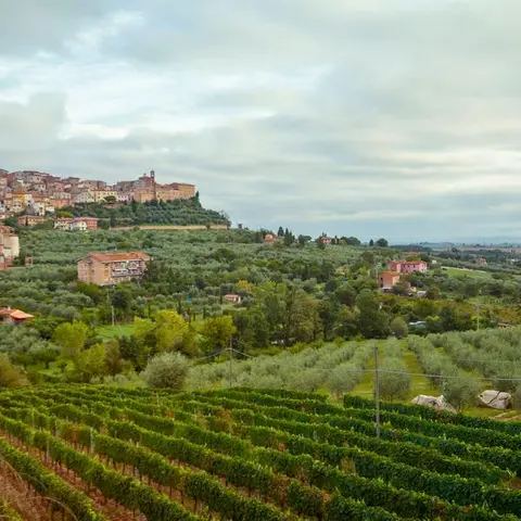 Tuscany to Cinque Terre: Wines, Villages & Unforgettable Walks