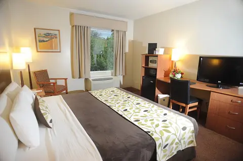 Sleep Inn Paseo Las Damas, Room