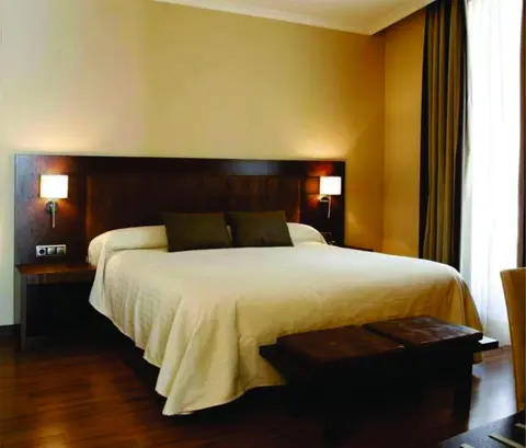 Hotel Villa De Aranda, Room