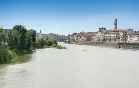 Ferrucci, General view