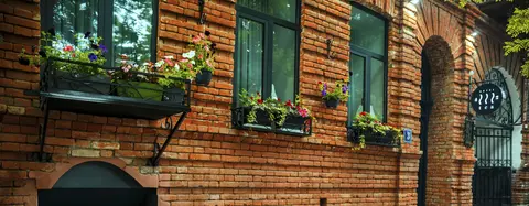 Tea for Two, General view