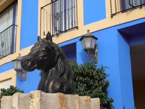 Hotel Caballo Negro, 