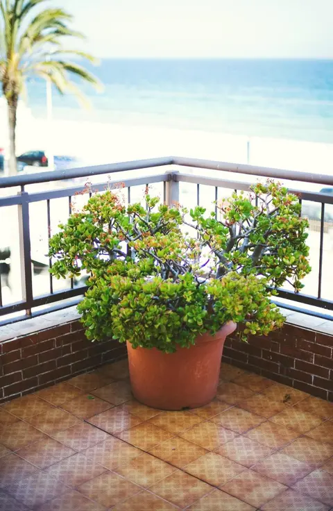 Hotel Miramar Badalona, 