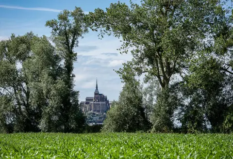 Flor du Mont Gîte, 