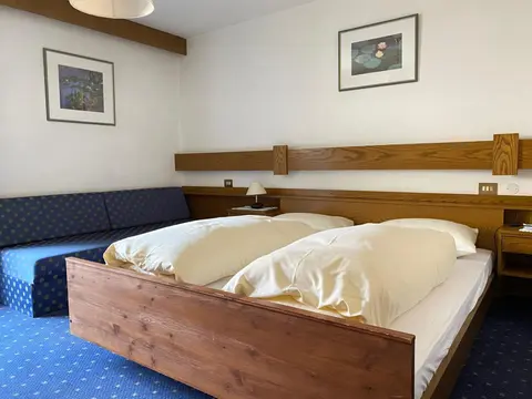 Hotel Friedemann, 