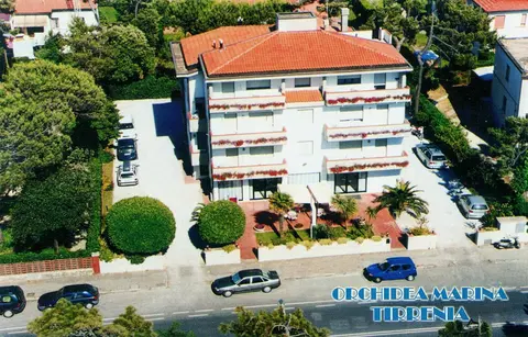 Orchidea Marina, 