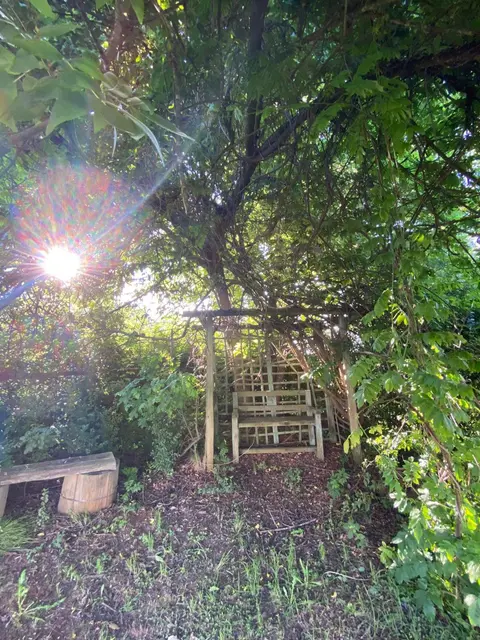 Under The Oak, 