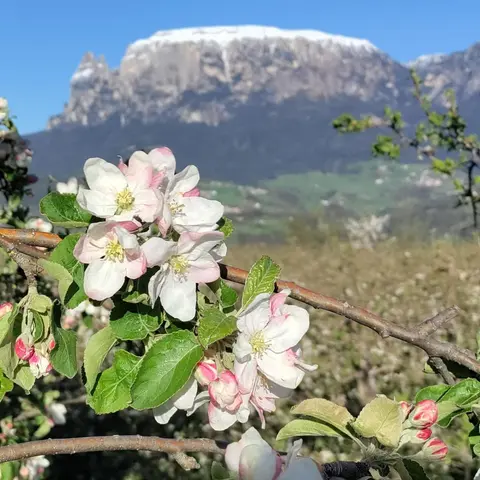 Gasthof Wunder, 