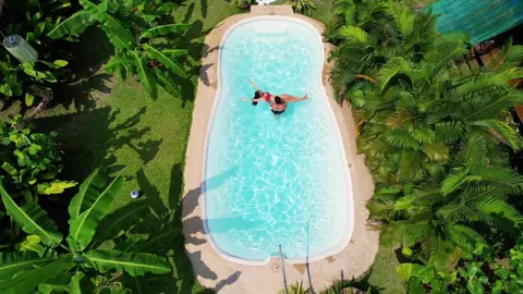 Samui Blue Bird, 