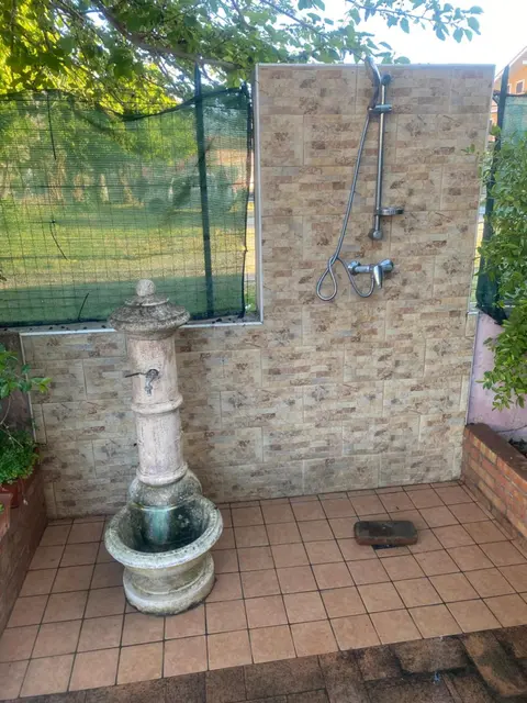 L'albero di limoni sul mare di Pizzo, 