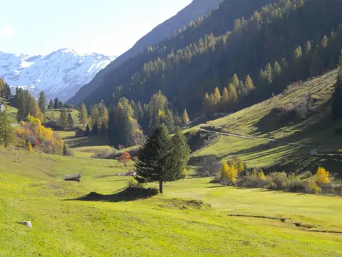 Shima-Davos, 