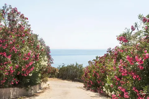 B&B Monterosso, 