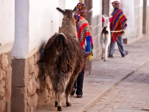 Inca Treasures