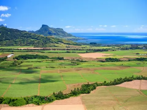 Einfach Mauritius (4* Hotel)