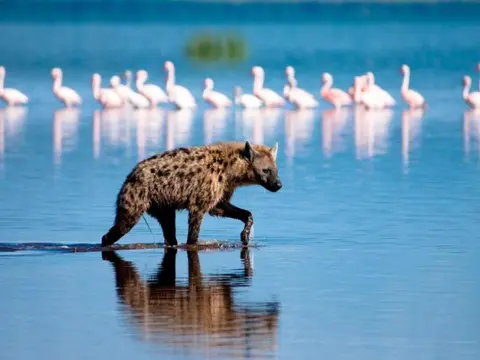 Lo más destacado de Kenia