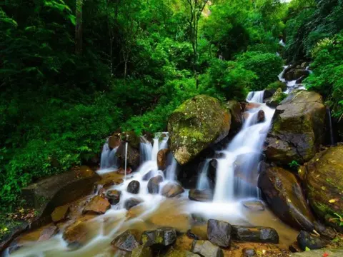 Leopards and Endemic Birds of Sri Lanka