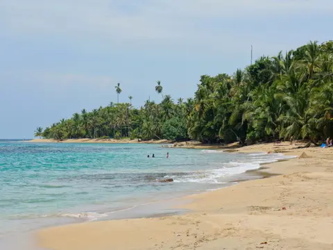 Volcanoes, Nature and Caribbean