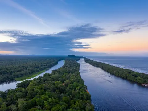 Hacia la Naturaleza: Una Escapada a Costa Rica, Conducción por cuenta propia