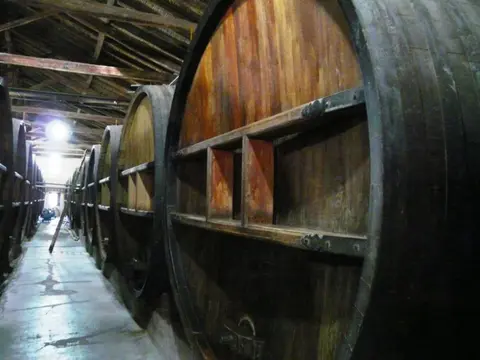 Experiencia de 4 días en la región vinícola de Mendoza