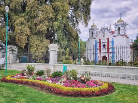 Mexico City, Oaxaca City & Merida City (Delight Mexican Cuisine)