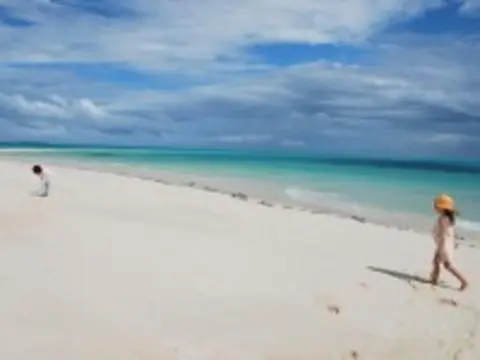 Sur Les pistes de Tanzanie, Ngorongoro