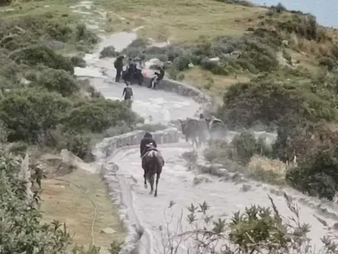 Il Meglio dell'Ecuador - Avenida dei Vulcani