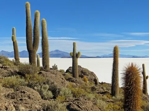 Rendez-vous en Bolivie