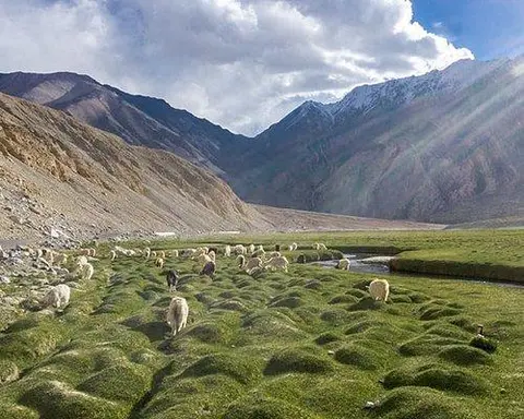 CACHEMIRA Y LADAKH CON FESTIVAL HEMIS 2025 - Salida Especial