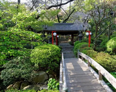 MTPE-30025 NUEVO JAPÓN ESPIRITUAL