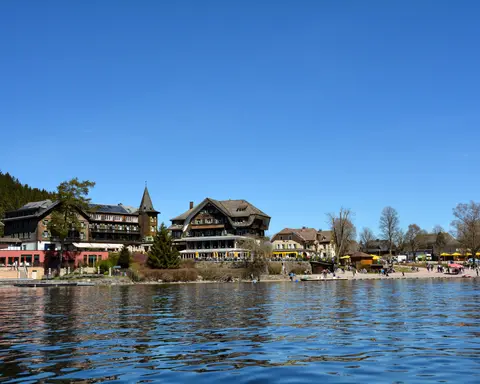 LO MEJOR DE SUIZA